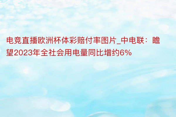 电竞直播欧洲杯体彩赔付率图片_中电联：瞻望2023年全社会用电量同比增约6%