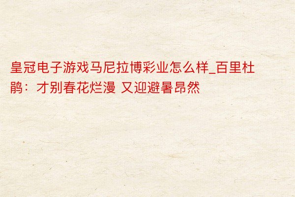 皇冠电子游戏马尼拉博彩业怎么样_百里杜鹃：才别春花烂漫 又迎避暑昂然
