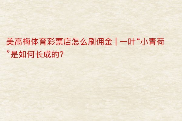 美高梅体育彩票店怎么刷佣金 | 一叶“小青荷”是如何长成的？